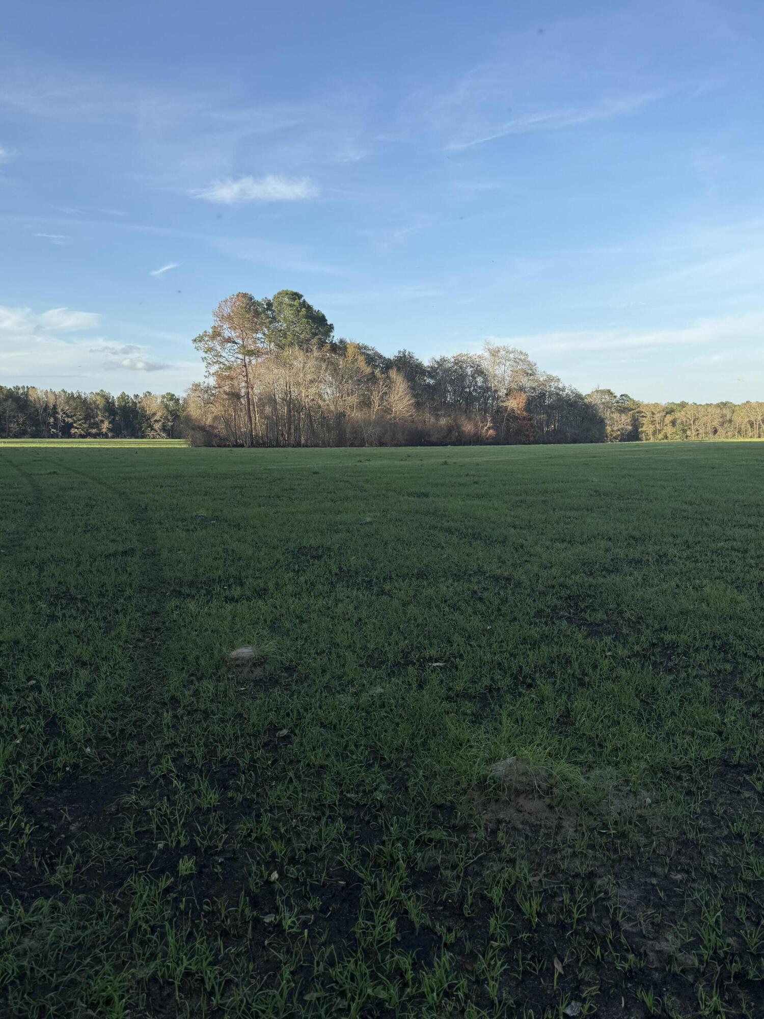 1716 Hub Presley Road Laurel Hill, FL 32567 - Photo 30 of 43 a view of a grassy field with an ocean