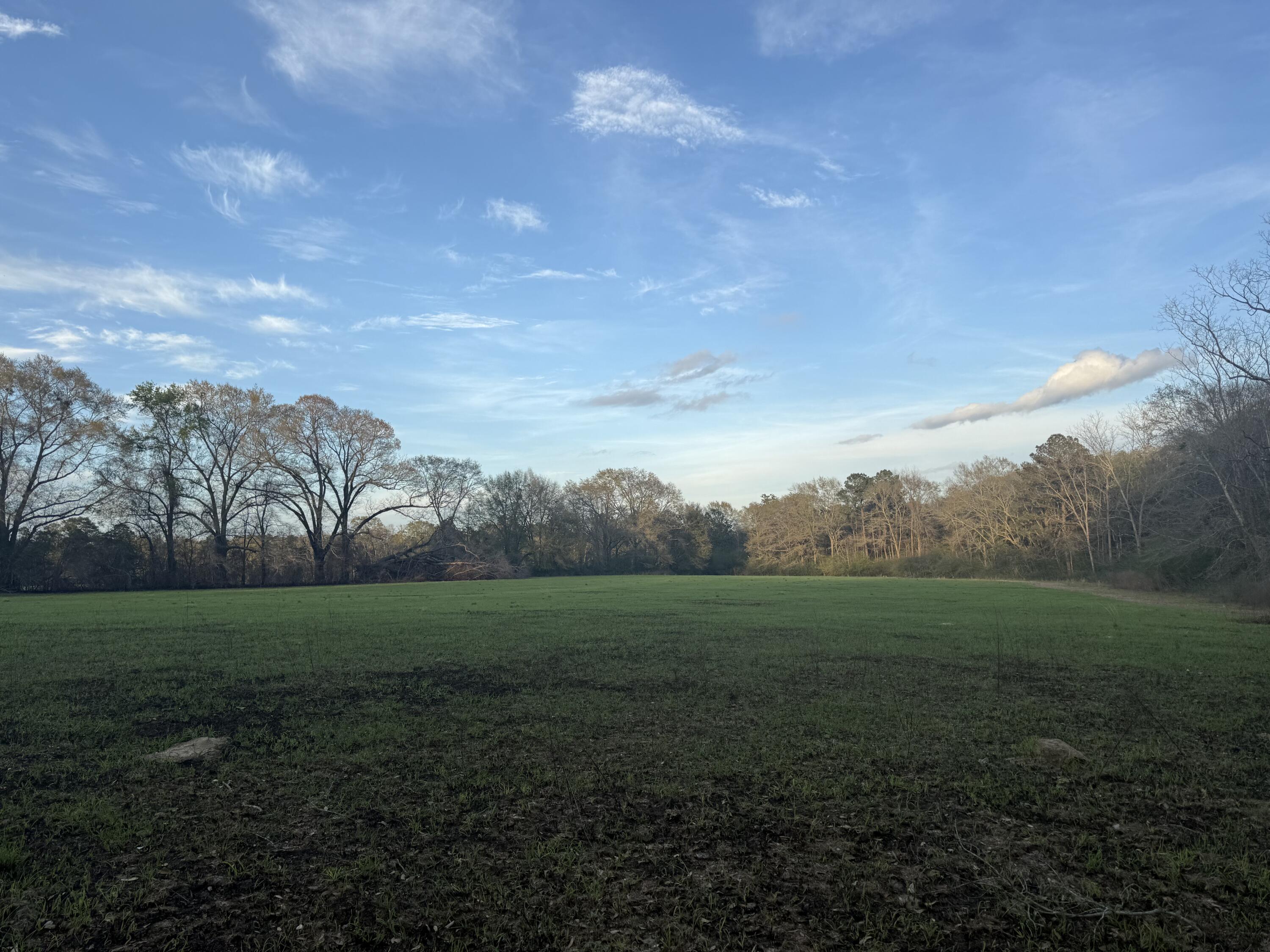 1716 Hub Presley Road Laurel Hill, FL 32567 - Photo 39 of 43 a view of outdoor space and yard