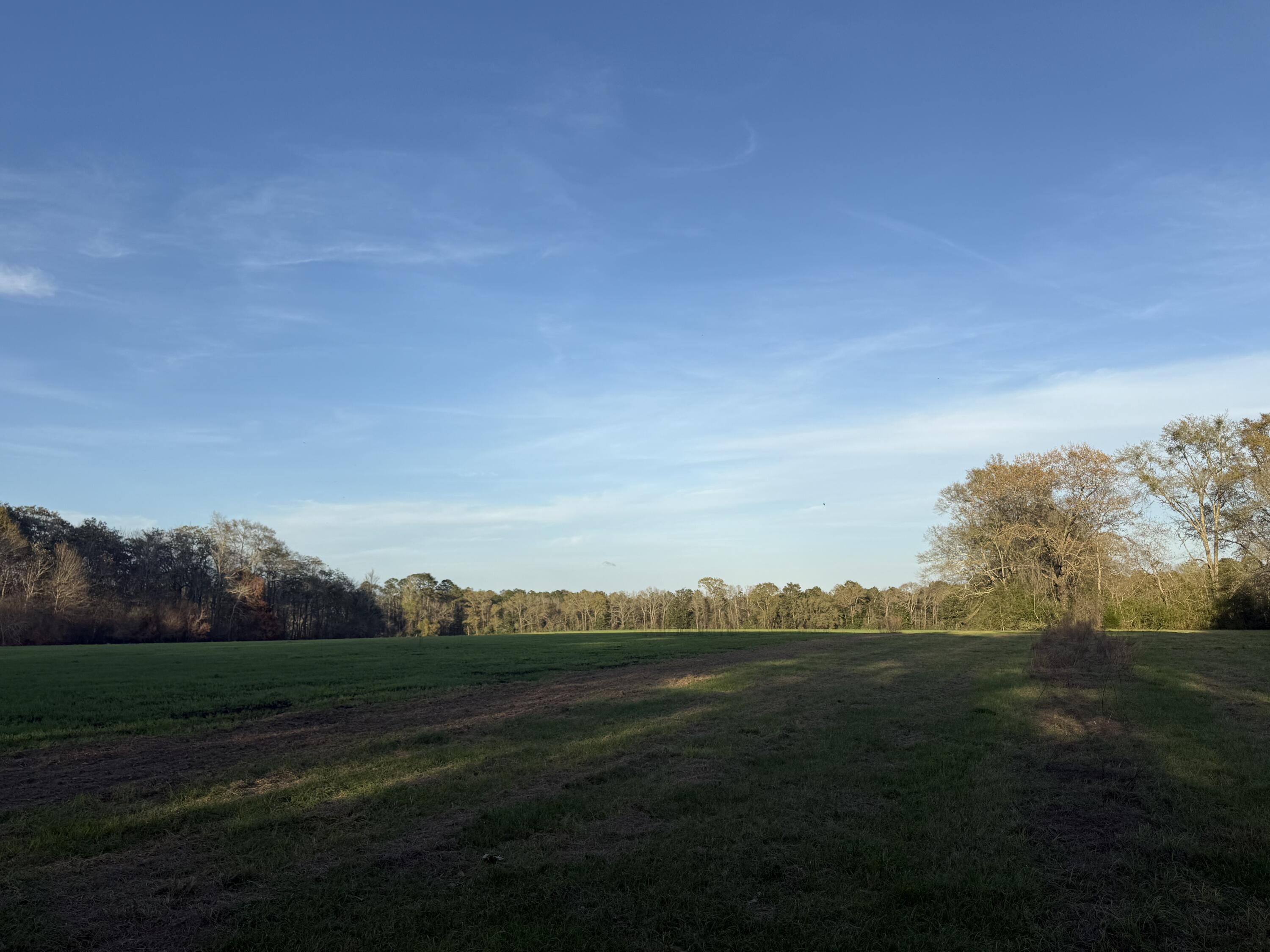 1716 Hub Presley Road Laurel Hill, FL 32567 - Photo 40 of 43 a view of an ocean and yard