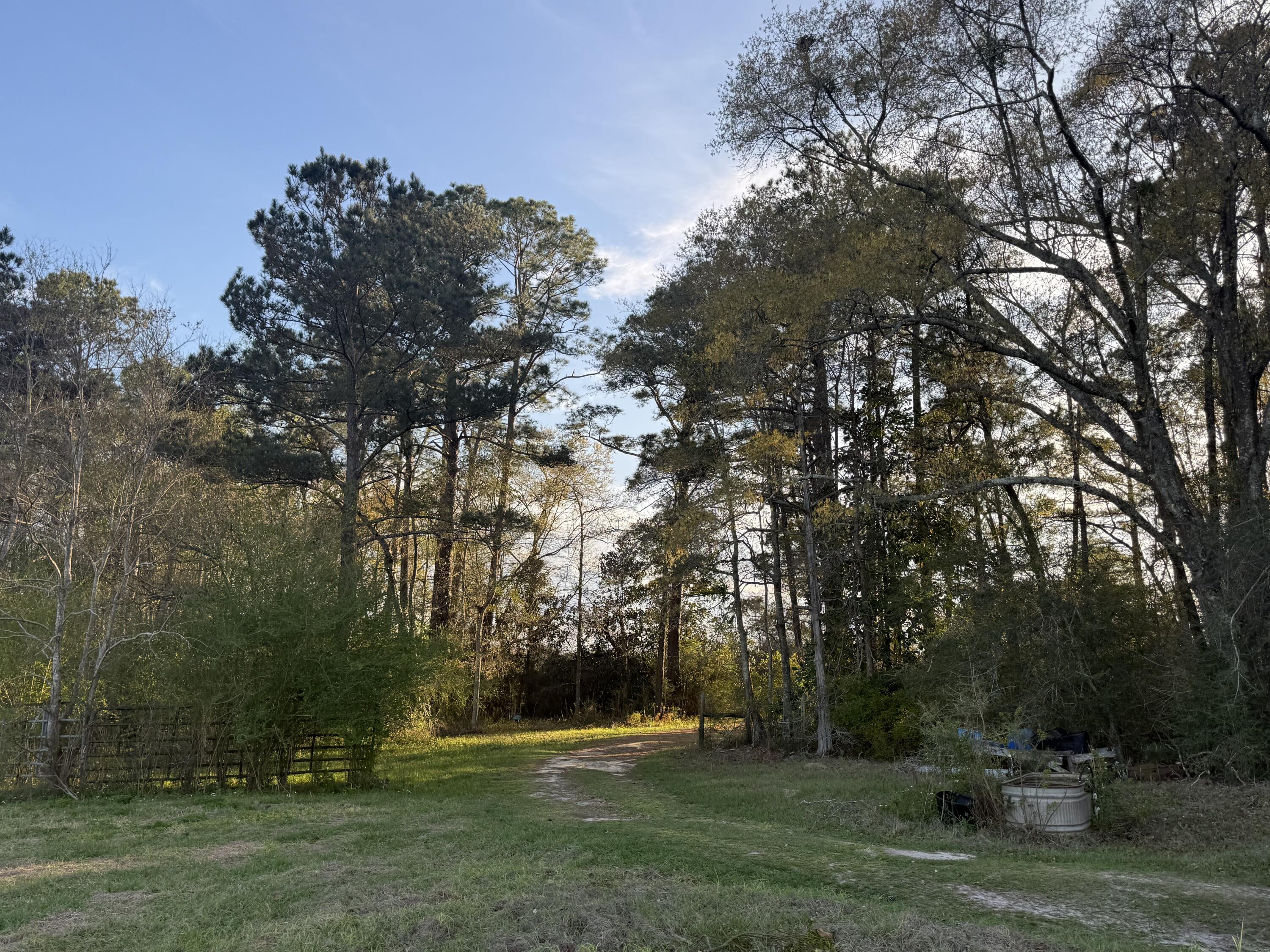1716 Hub Presley Road Laurel Hill, FL 32567 - Photo 41 of 43 a view of outdoor space