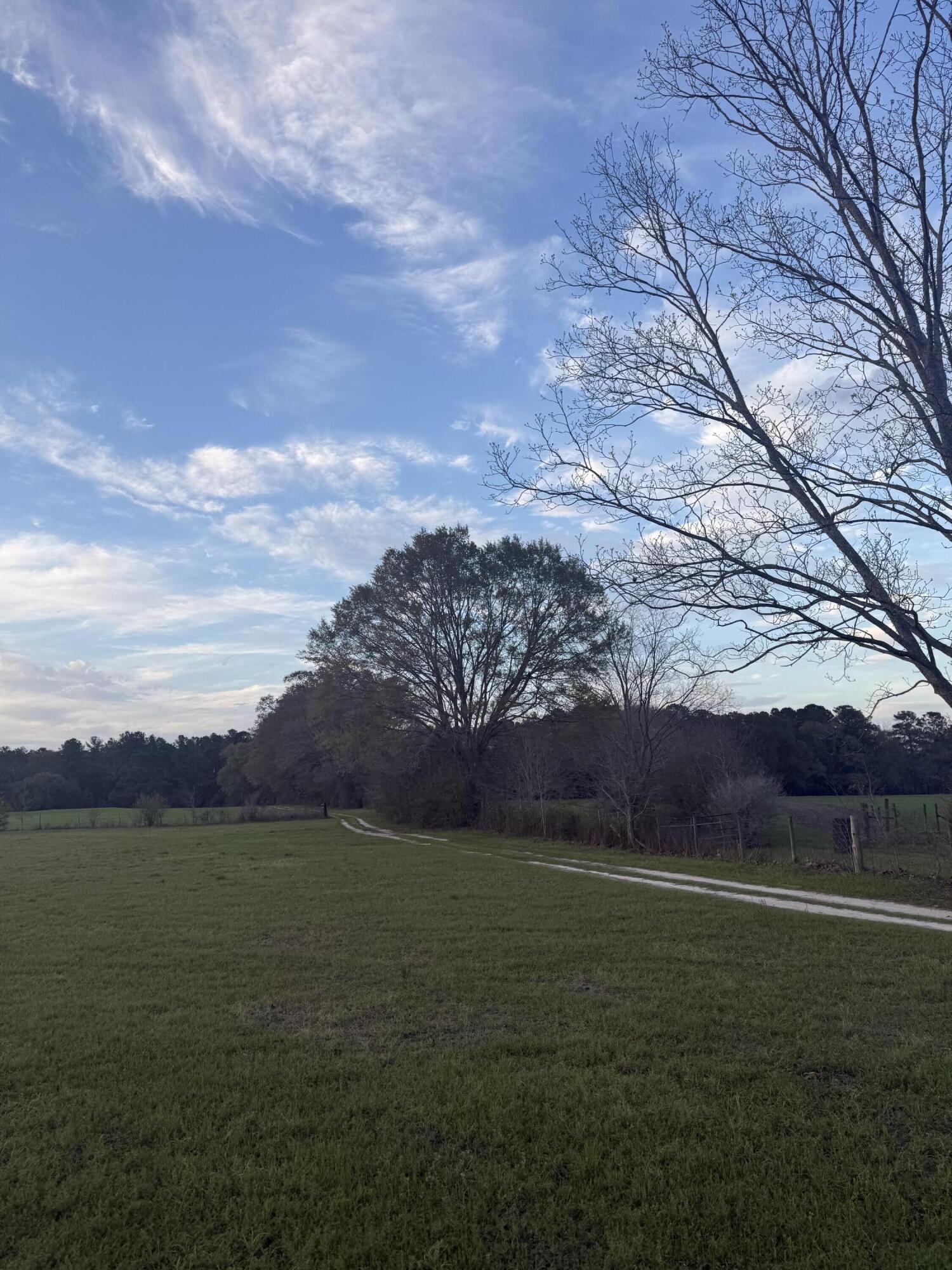 1716 Hub Presley Road Laurel Hill, FL 32567 - Photo 5 of 43 a view of outdoor space and mountain view