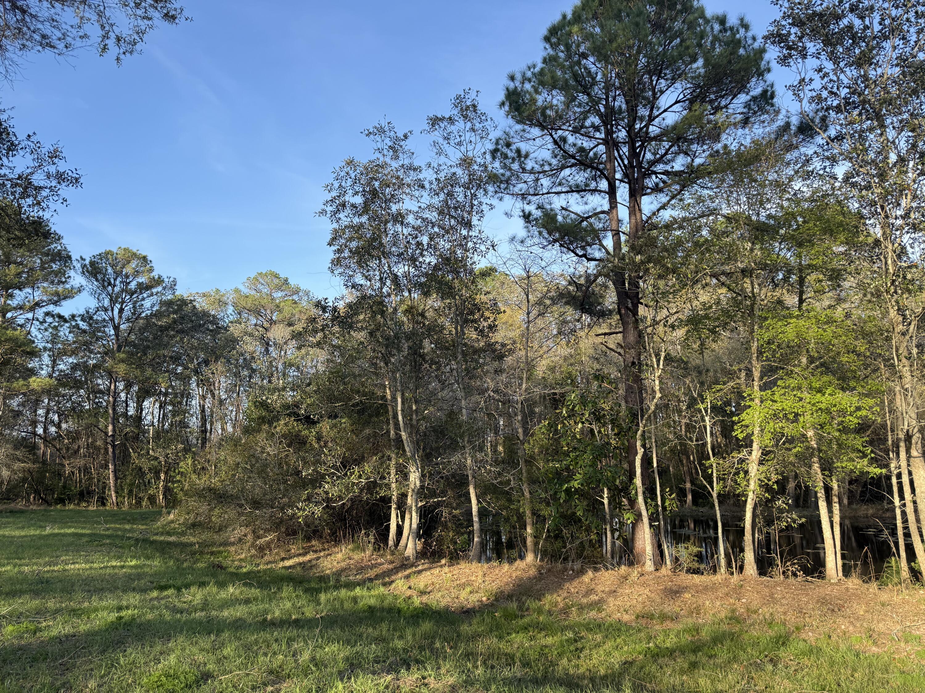 1716 Hub Presley Road Laurel Hill, FL 32567 - Photo 6 of 43 a view of a outdoor space