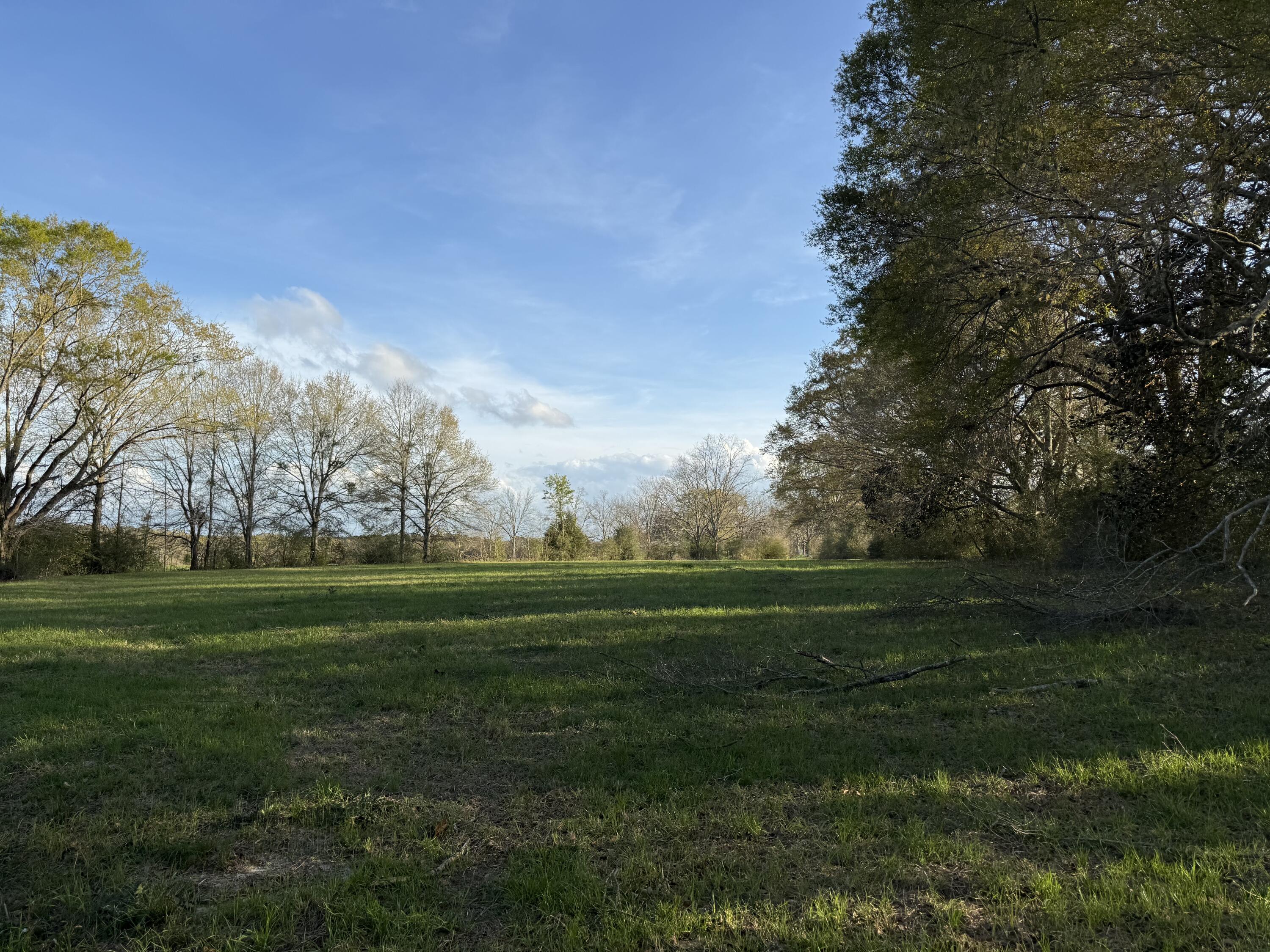 1716 Hub Presley Road Laurel Hill, FL 32567 - Photo 7 of 43 a big yard with lots of green space and trees