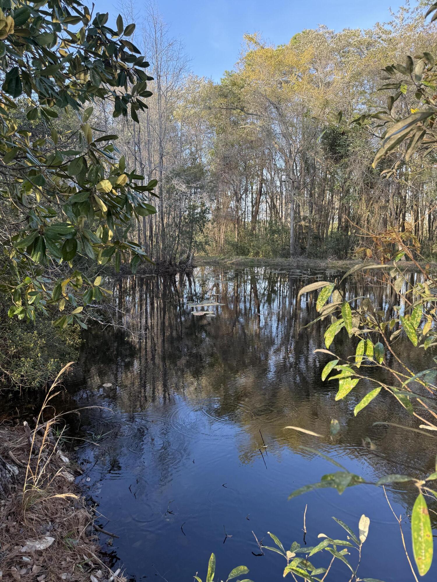 1716 Hub Presley Road Laurel Hill, FL 32567 - Photo 9 of 43 a view of a lake with a mountain