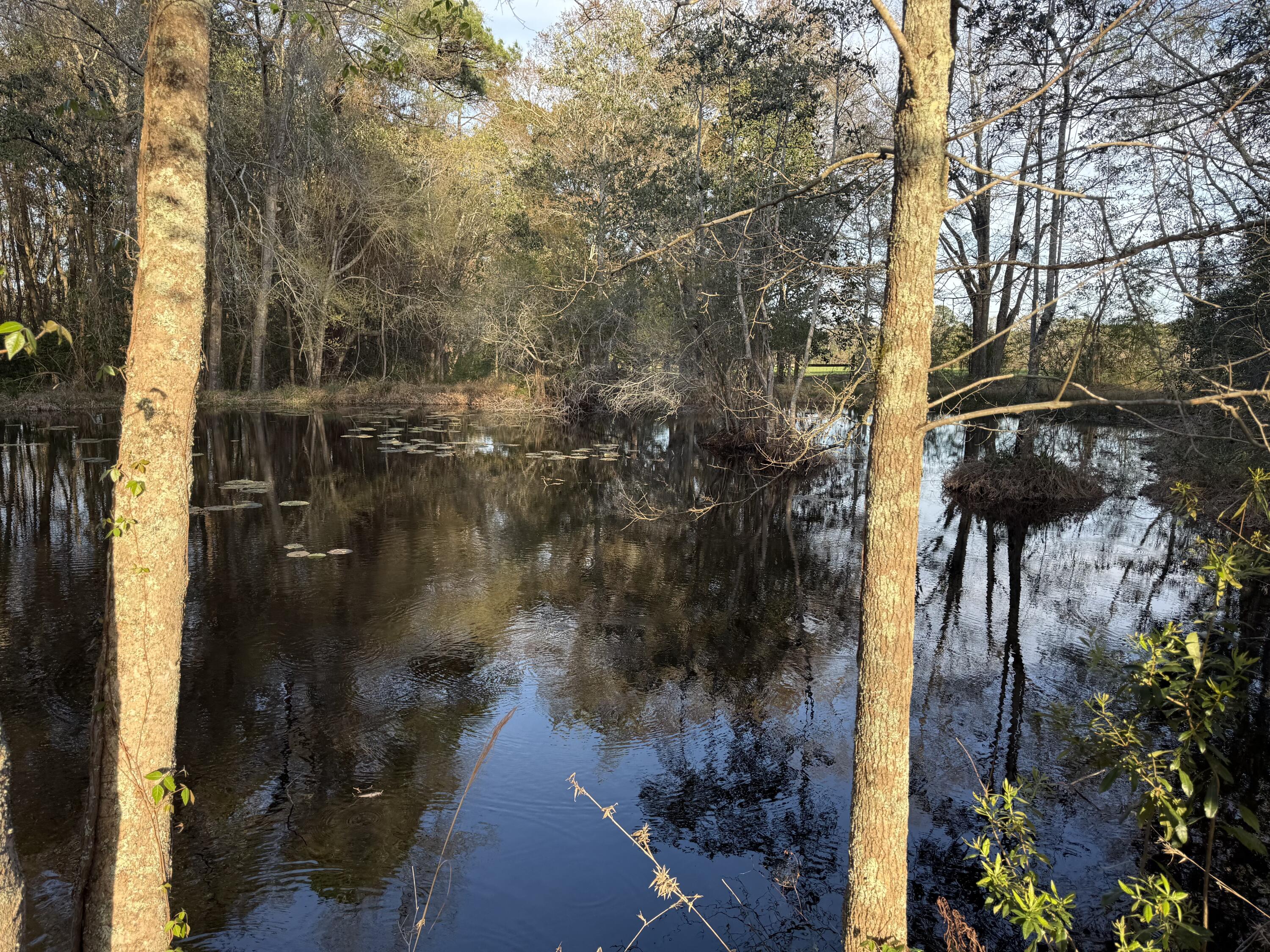 1716 Hub Presley Road Laurel Hill, FL 32567 - Photo 10 of 43