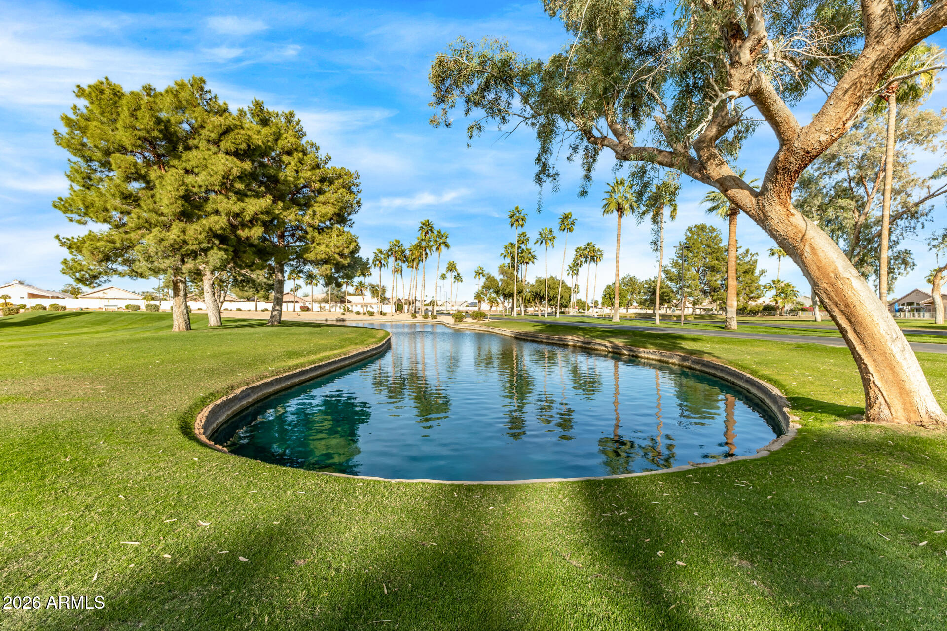 14300 West Bell Road, Unit 153 Surprise, AZ 85374 - Photo 19 of 19 a view of a swimming pool with a yard
