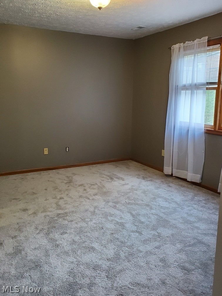 236 Louise Street Rittman, OH 44270 - Photo 10 of 17
