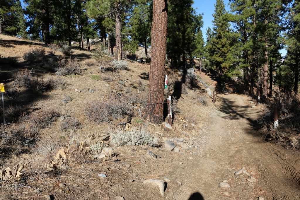 S18 Long Valley Road Loyalton, CA 96118 - Photo 25 of 26 a view of dirt yard with a tree