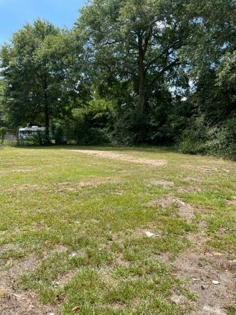 218 Thompson Road Augusta, GA 30906 - Photo 19 of 19 Large backyard with some mature shade trees