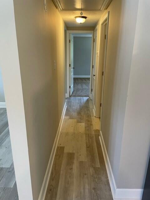 218 Thompson Road Augusta, GA 30906 - Photo 7 of 19 Hallway to bathroom and bedrooms.