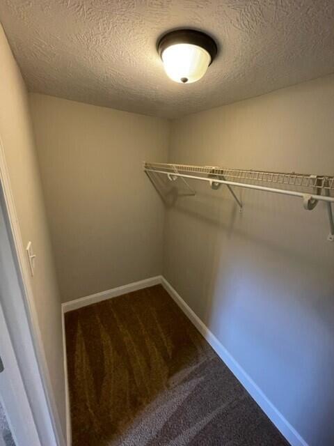 218 Thompson Road Augusta, GA 30906 - Photo 10 of 19 Primary bedroom's walk-in closet.