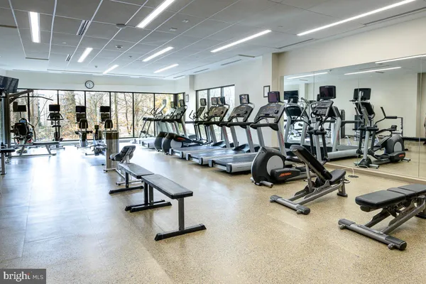 $2,850 | 5902 Mt Eagle Drive, Unit 1601, Alexandria, VA 22303