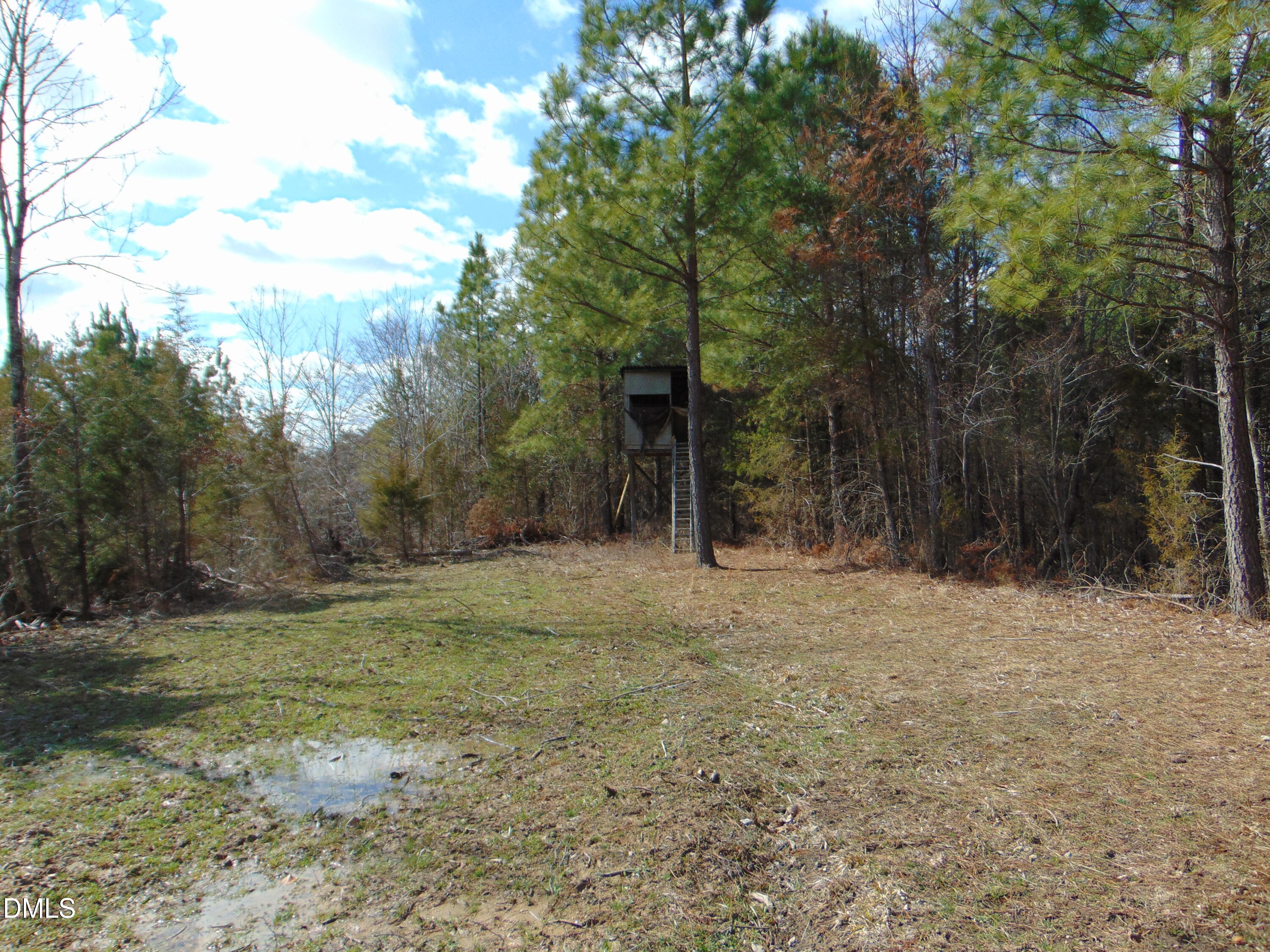 0 Park Springs Road Providence, NC 27315 - Photo 39 of 46 DSC01388