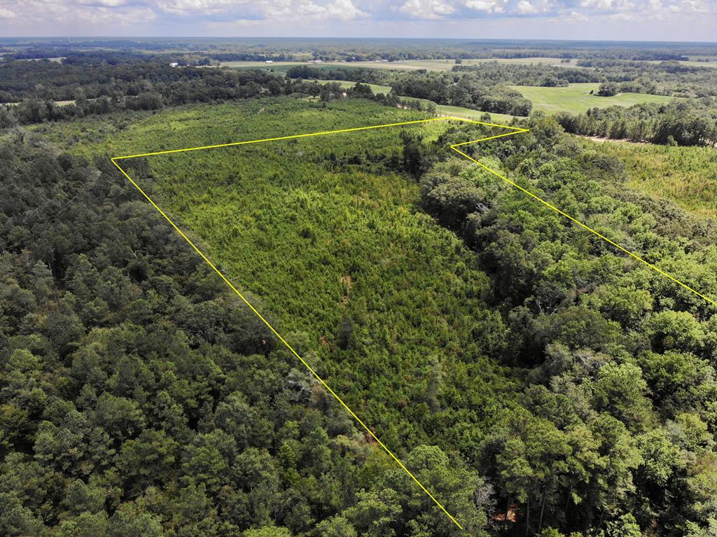 30-ac West Old Elba Road Coffee Springs, AL 36318 - Photo 10 of 19