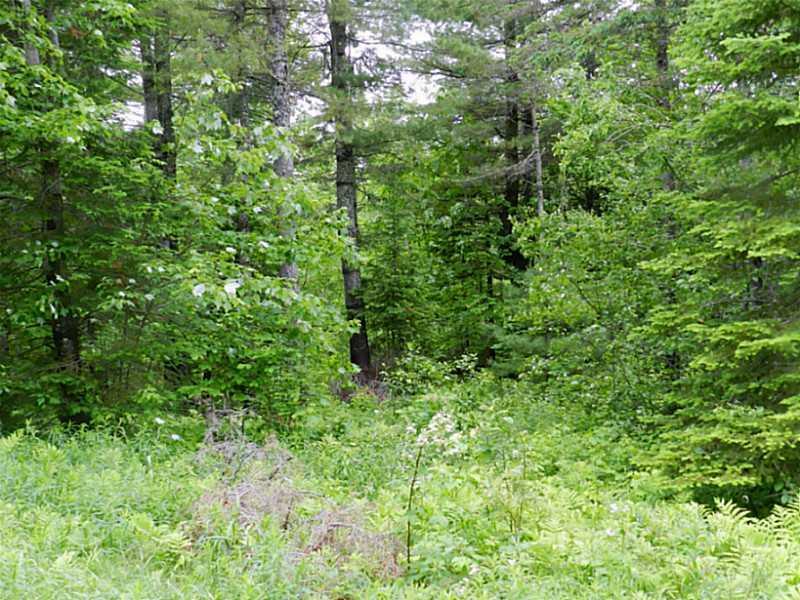 424 Troy Road Detroit, ME 04929 - Photo 6 of 11 Land.