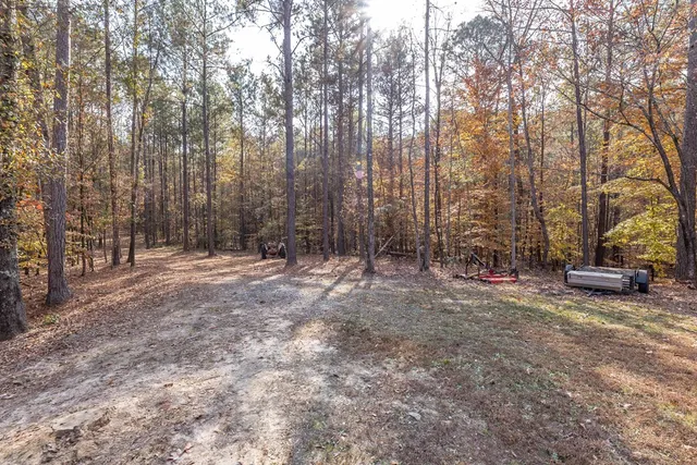 a view of backyard with trees