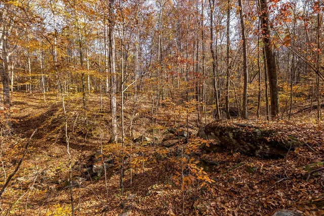 a view of a field with trees in the background