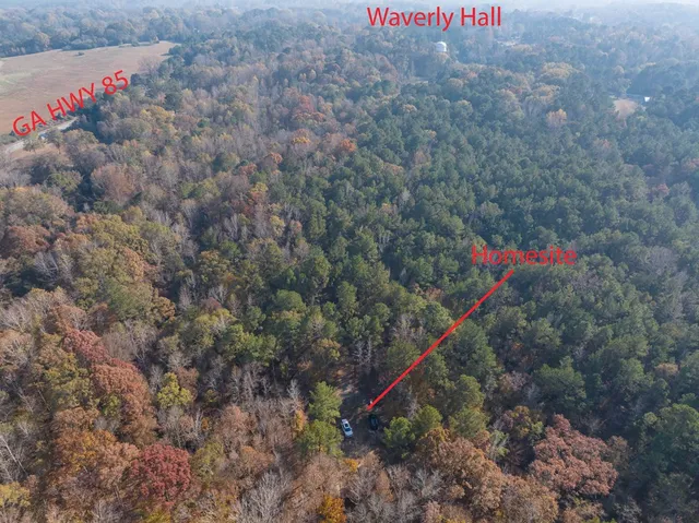 a view of a dry yard