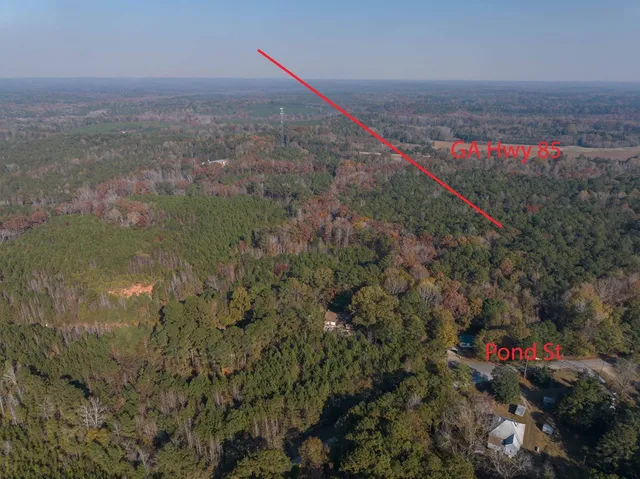 a view of a field with an trees