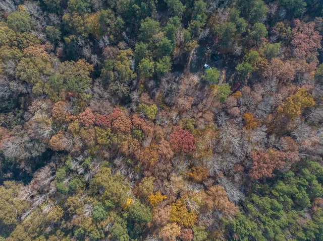 a view of a field with trees in the background