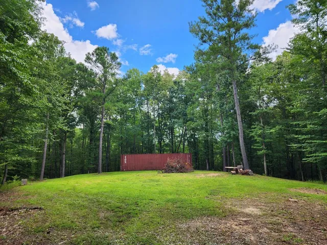 a view of a yard with plants and large trees