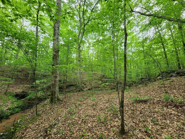 a view of yard from balcony