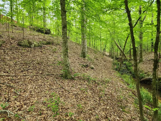 $299,900 | 0 Ga Highway, Waverly Hall, GA 31831