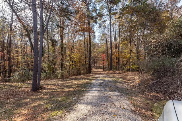 a view of outdoor space with trees