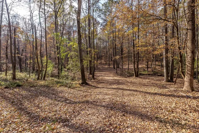 a backyard of a house with lots of trees