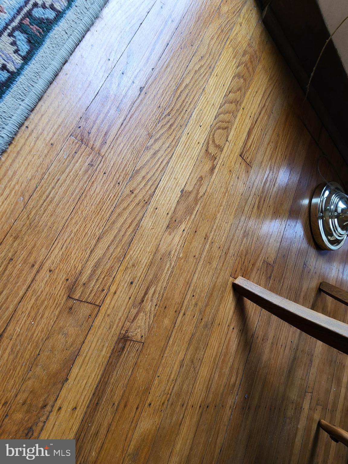 643 Vernon Road Springfield, PA 19064 - Photo 36 of 61