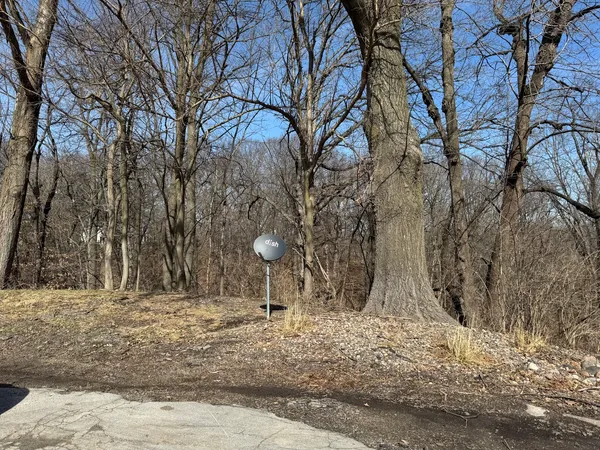 a view of a yard with trees