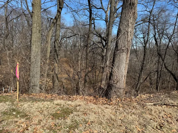 a backyard of a house with large trees