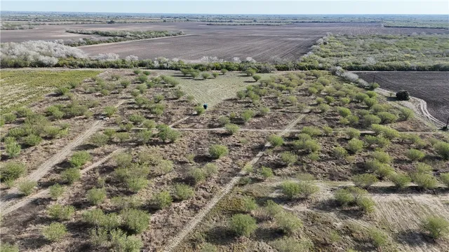 $300,000 | 4721 Farm To Market Road 1349, Skidmore, TX 78389