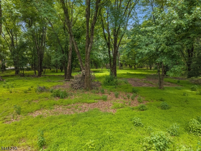 356 South Branch Road Hillsborough, NJ 08844 - Photo 41 of 45