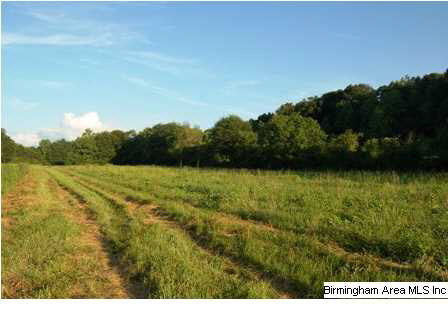 509 County Road, Unit 40 Woodland, AL 36280 - Photo 20 of 21