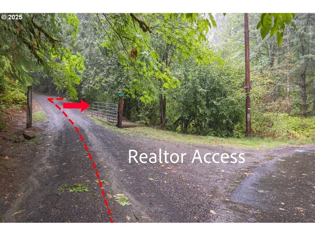 a view of an outdoor space