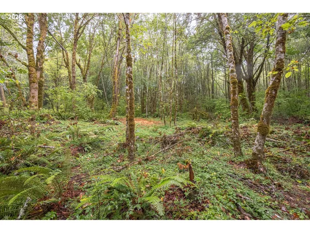 a backyard of a house with lots of plants