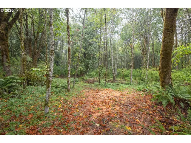 a view of outdoor space and yard