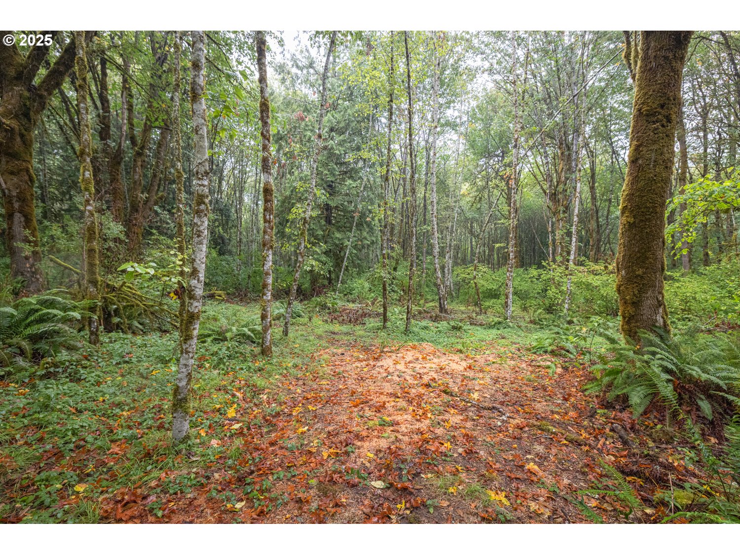 34 Twn 4n Rng 2w Scappoose, OR 97056 - Photo 15 of 28