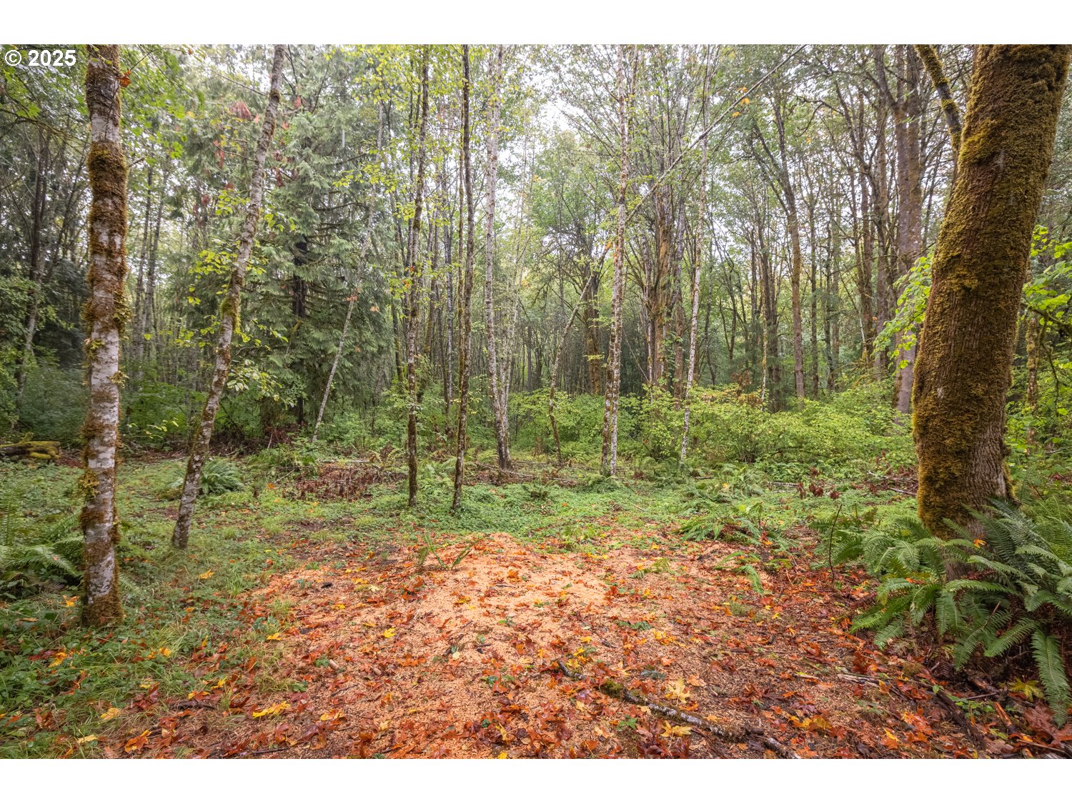 34 Twn 4n Rng 2w Scappoose, OR 97056 - Photo 16 of 28