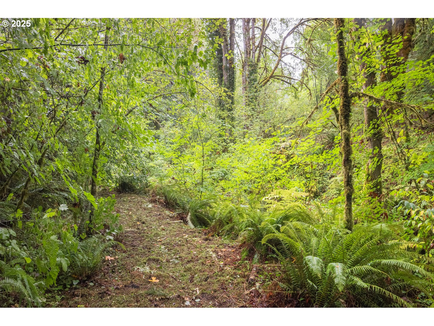 34 Twn 4n Rng 2w Scappoose, OR 97056 - Photo 18 of 28