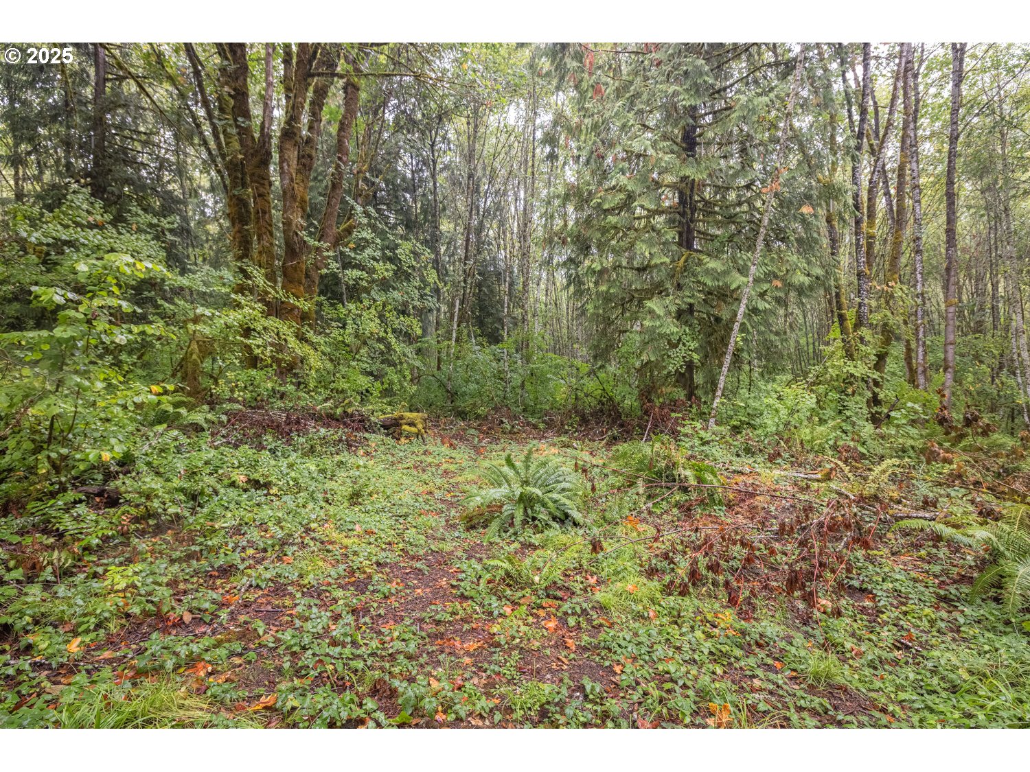 34 Twn 4n Rng 2w Scappoose, OR 97056 - Photo 19 of 28