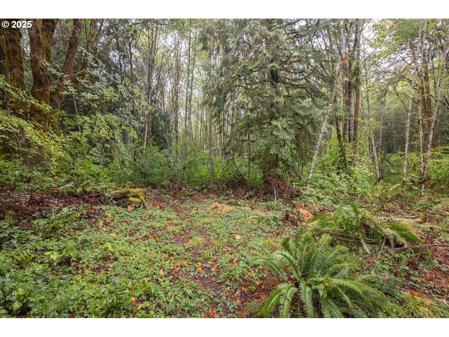 34 Twn 4n Rng 2w Scappoose, OR 97056 - Photo 20 of 28