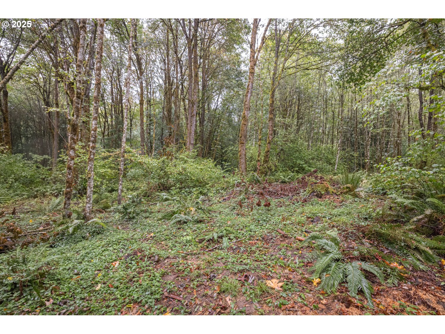 34 Twn 4n Rng 2w Scappoose, OR 97056 - Photo 21 of 28