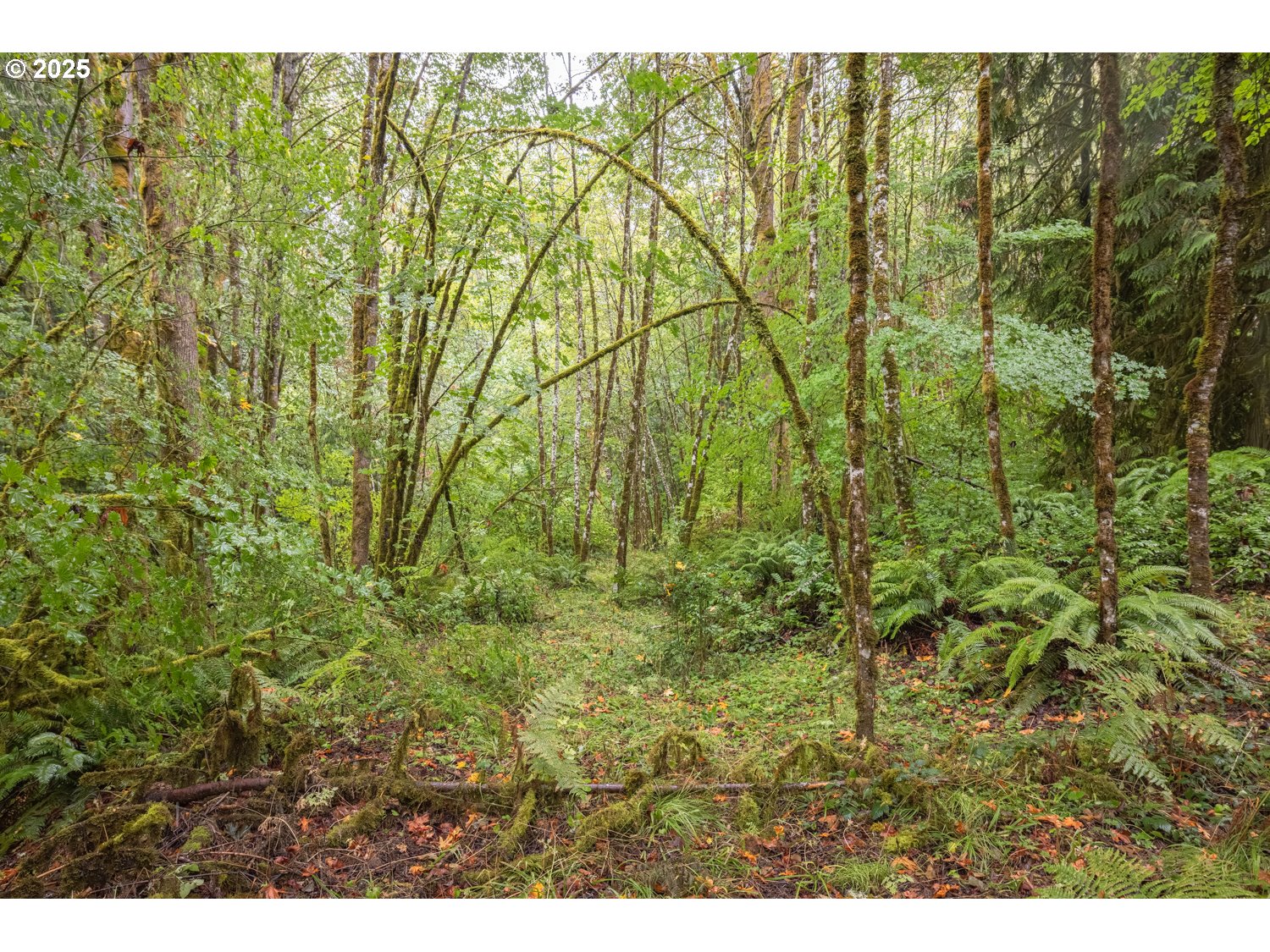 34 Twn 4n Rng 2w Scappoose, OR 97056 - Photo 23 of 28