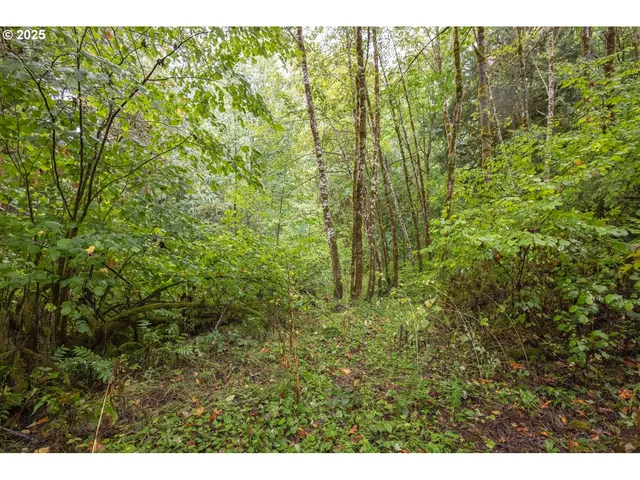 $224,900 | 34 Twn 4n Rng 2w, Scappoose, OR 97056