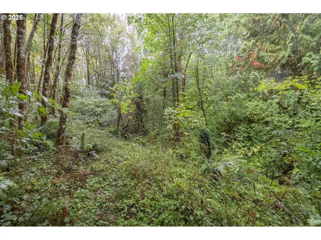 $224,900 | 34 Twn 4n Rng 2w, Scappoose, OR 97056