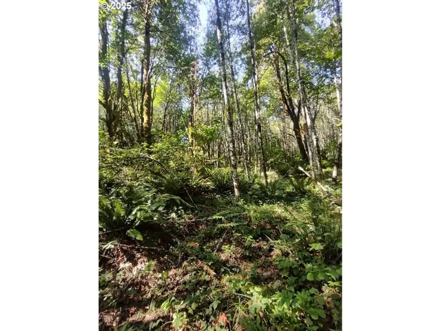 $224,900 | 34 Twn 4n Rng 2w, Scappoose, OR 97056