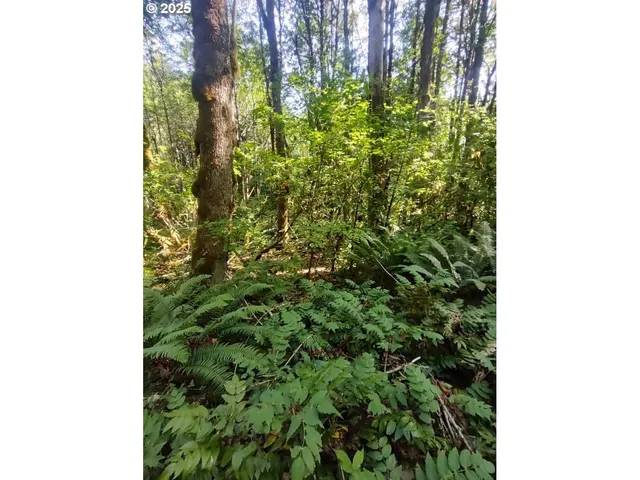 $224,900 | 34 Twn 4n Rng 2w, Scappoose, OR 97056