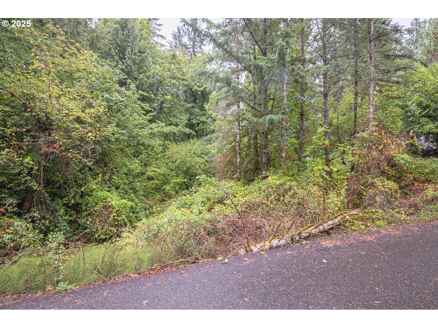 34 Twn 4n Rng 2w Scappoose, OR 97056 - Photo 4 of 28